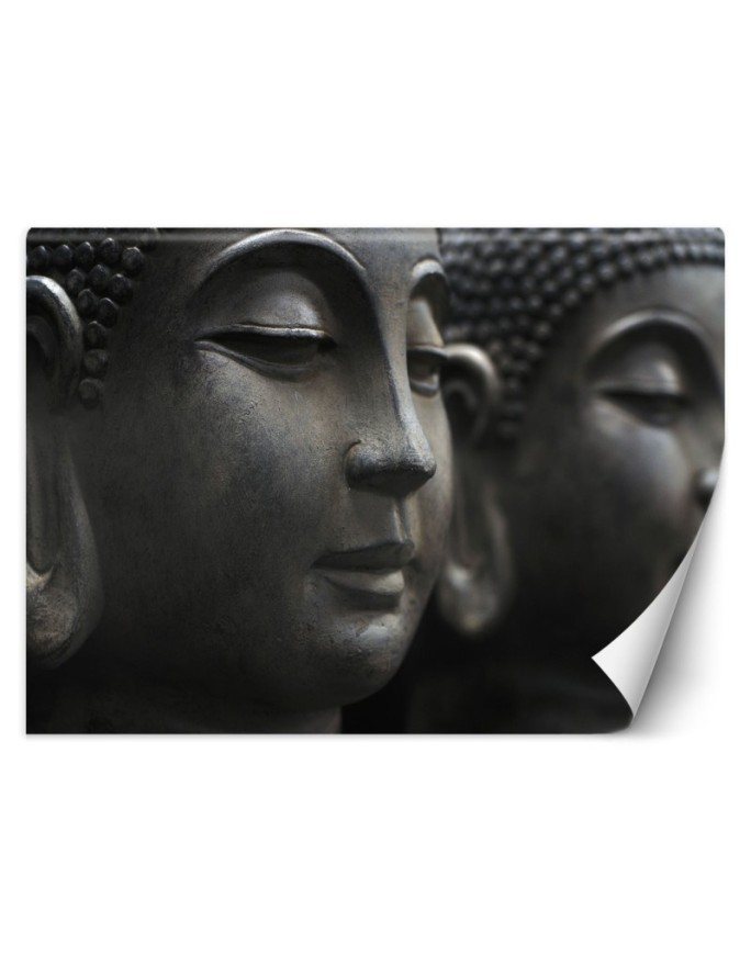 Wall murals - Meditating Buddha | FEEBY