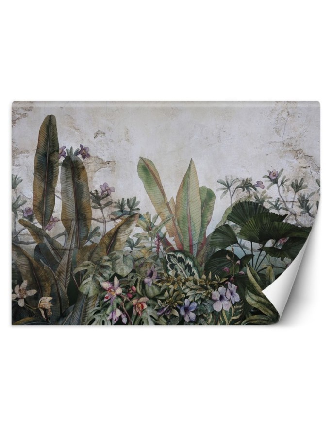 Exotic Wallpapers - Monstera leaves concrete wall | FEEBY