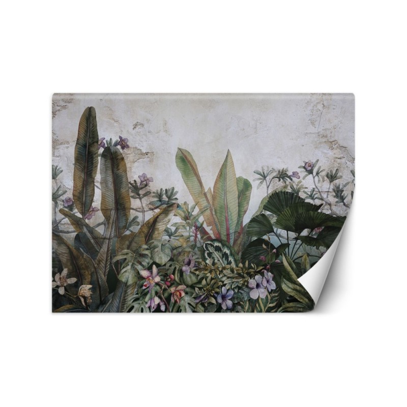 Exotic Wallpapers - Monstera leaves concrete wall | FEEBY