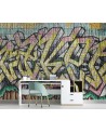 Modern murals - Coloured graffiti on concrete | FEEBY