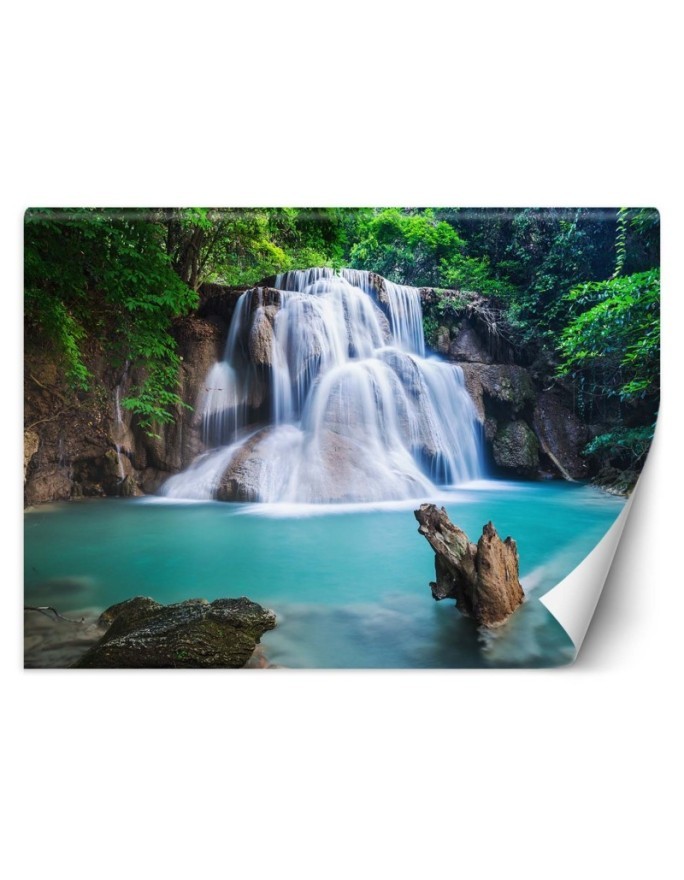 Beautiful wall murals - Waterfall in the tropics | FEEBY