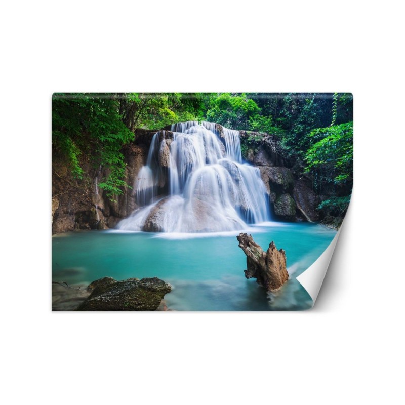 Beautiful wall murals - Waterfall in the tropics | FEEBY