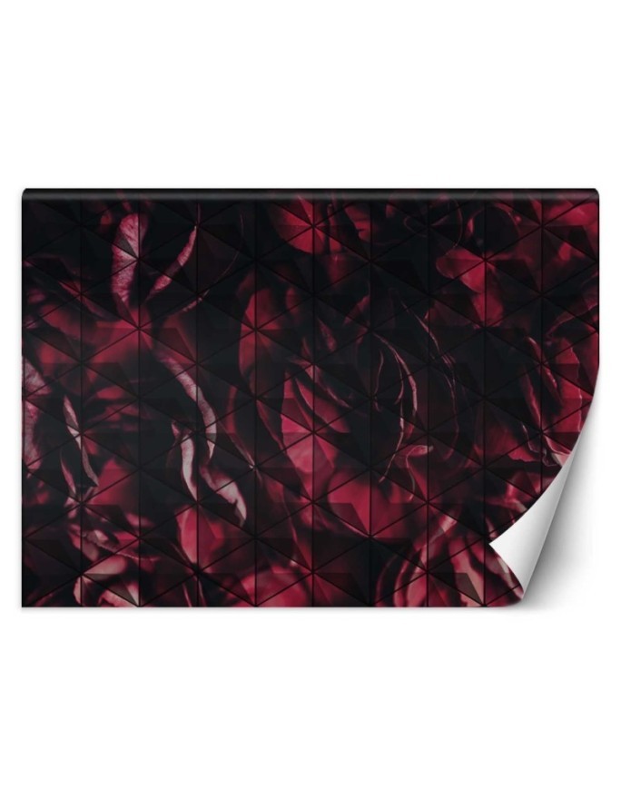 Unique wall murals - Red flower petals | FEEBY