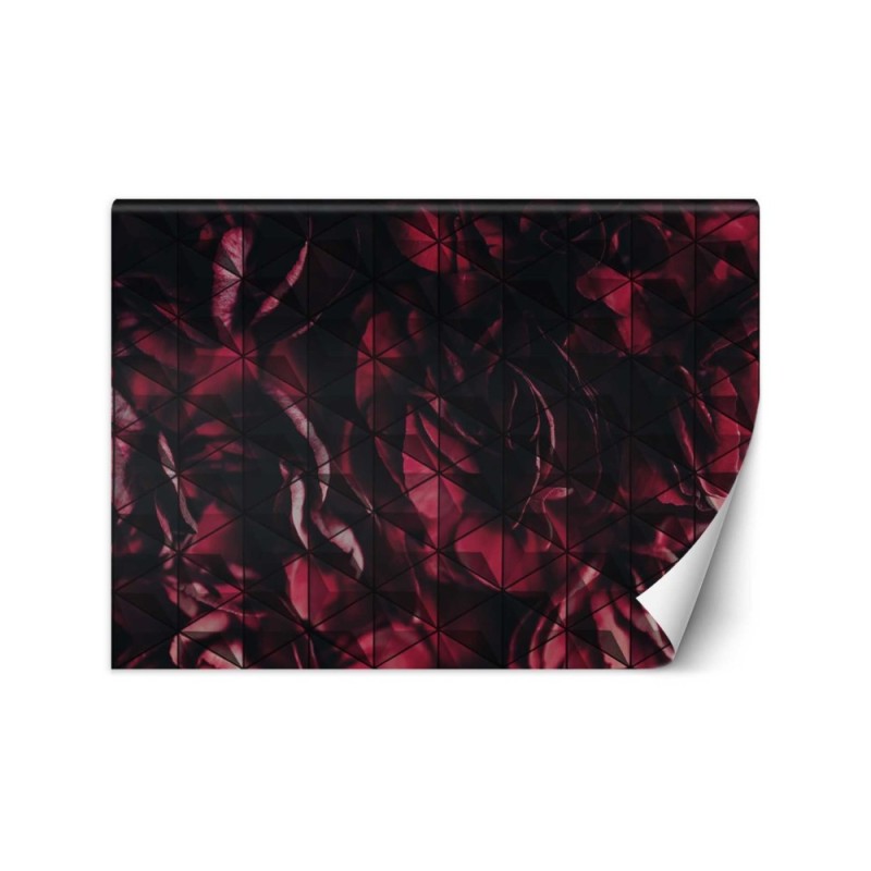 Unique wall murals - Red flower petals | FEEBY