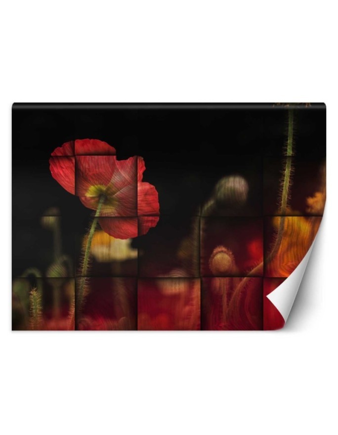 Original wall murals - Red flower poppies | FEEBY