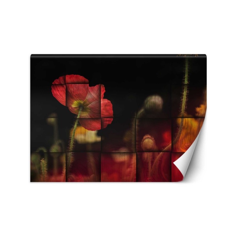 Original wall murals - Red flower poppies | FEEBY
