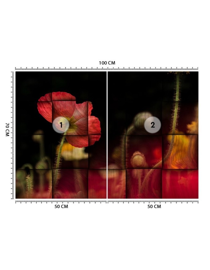 Original wall murals - Red flower poppies | FEEBY