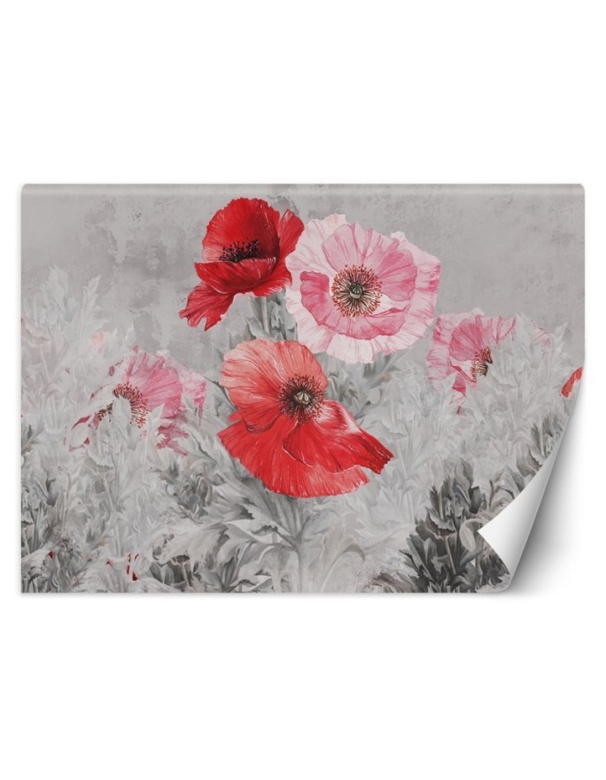 Unique wall murals - Red watercolour poppies | FEEBY