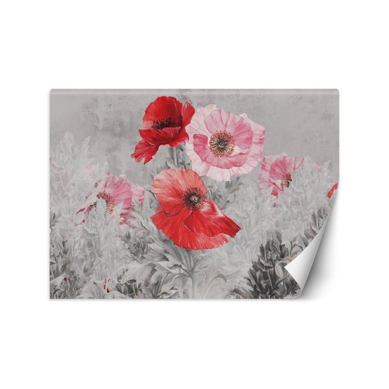 Unique wall murals - Red watercolour poppies | FEEBY