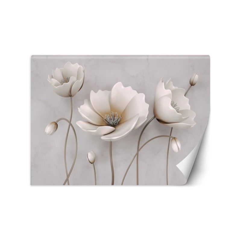 3D wall murals - Abstract flowers 3D | FEEBY