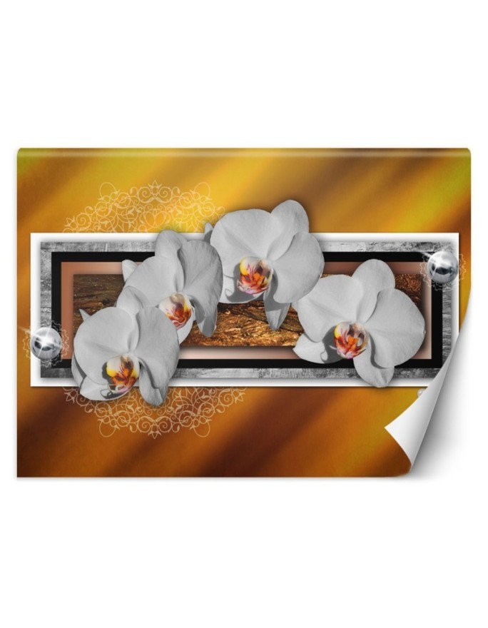 Modern wall murals - Geometry and orchids | FEEBY