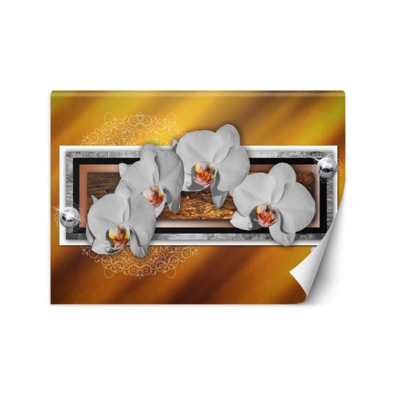 Modern wall murals - Geometry and orchids | FEEBY