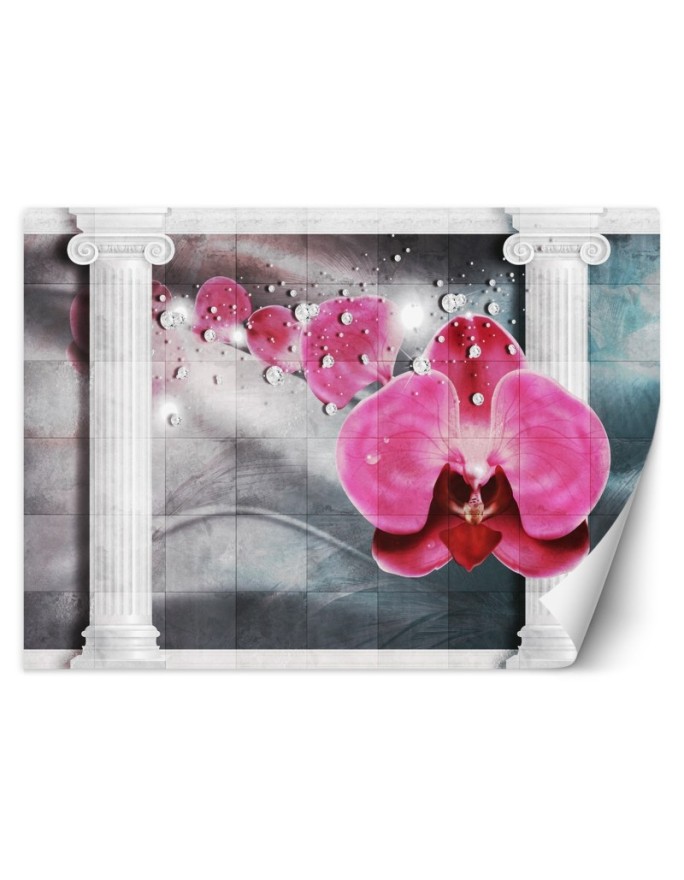 Wall mural Flowers Orchid...