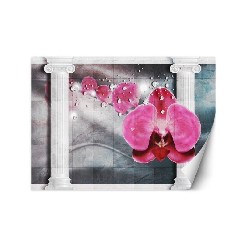 Beautiful wall mural - Pink column orchid flower | FEEBY