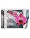 Beautiful wall mural - Pink column orchid flower | FEEBY