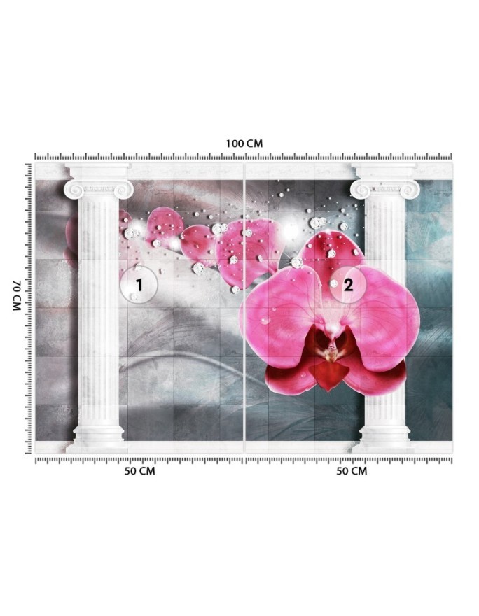 Beautiful wall mural - Pink column orchid flower | FEEBY