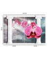 Beautiful wall mural - Pink column orchid flower | FEEBY