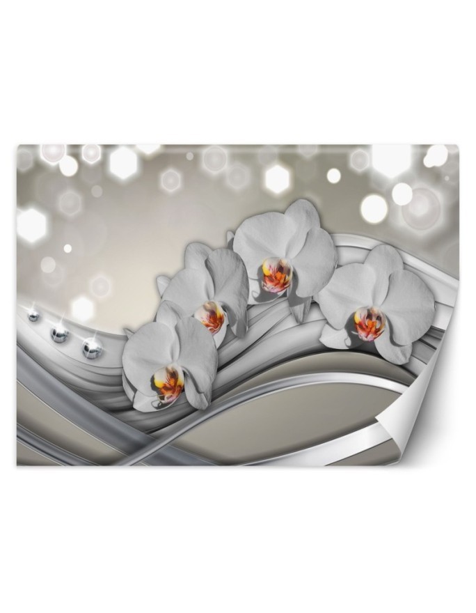 Modern wall mural - Orchid abstract | FEEBY