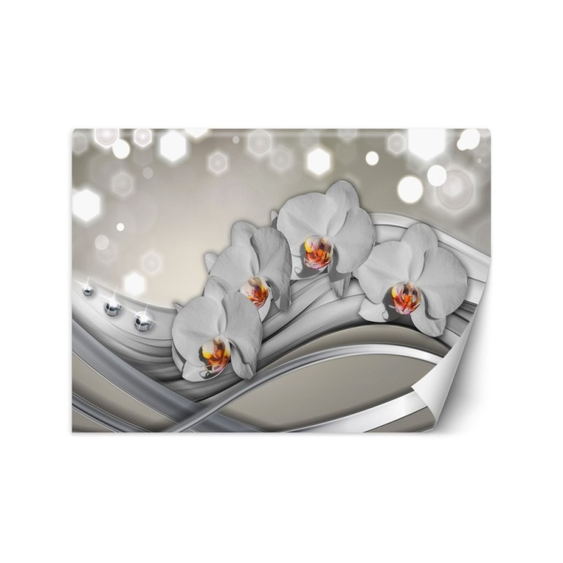 Modern wall mural - Orchid abstract | FEEBY