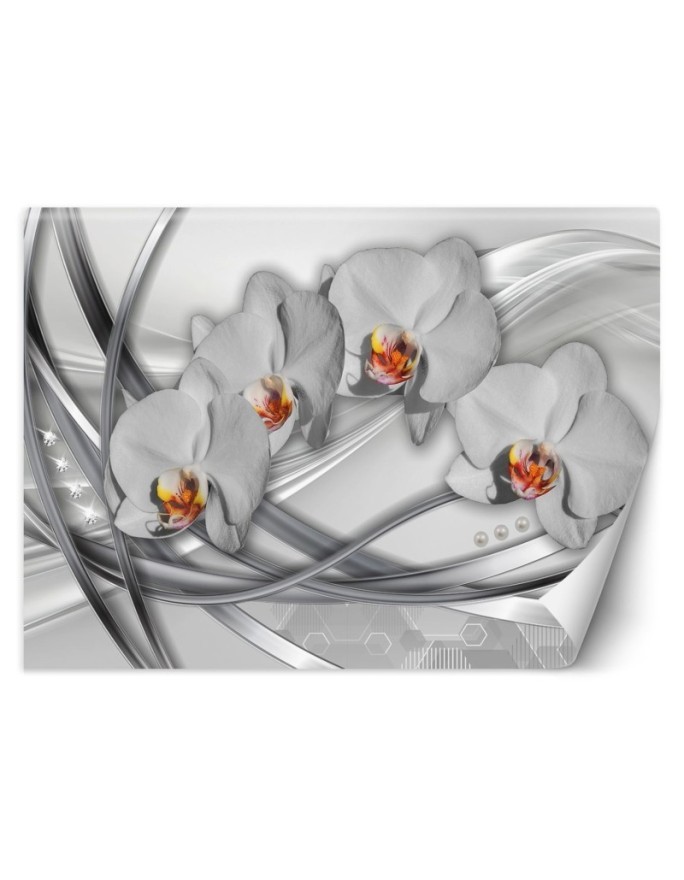 Modern wall mural - Orchid abstract | FEEBY