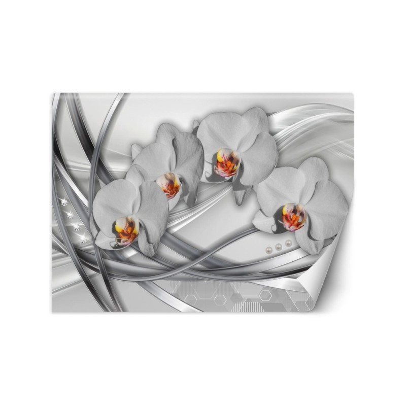 Modern wall mural - Orchid abstract | FEEBY