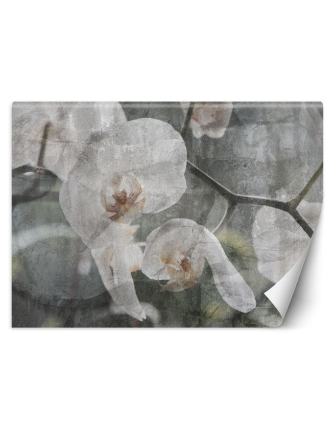 Wall mural Orchid flowers...