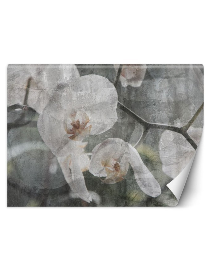 Inspirational wall murals - Orchid vintage | FEEBY
