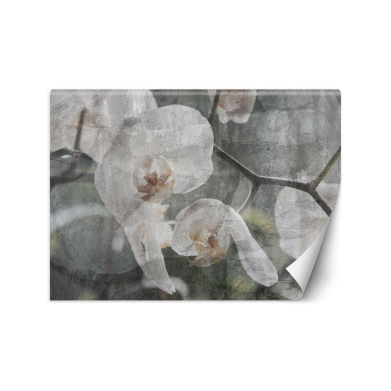 Inspirational wall murals - Orchid vintage | FEEBY