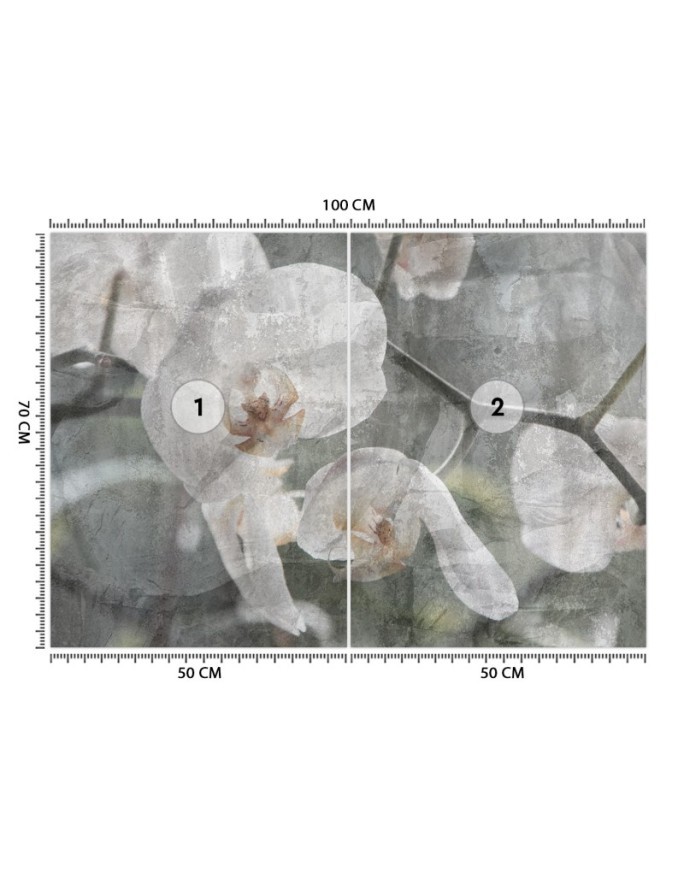Inspirational wall murals - Orchid vintage | FEEBY