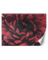 Exclusive wall murals - Macro flower | FEEBY