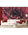 Exclusive wall murals - Macro flower | FEEBY
