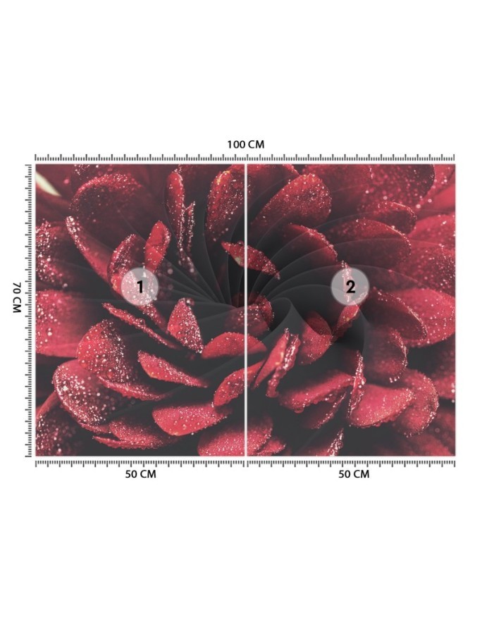 Exclusive wall murals - Macro flower | FEEBY
