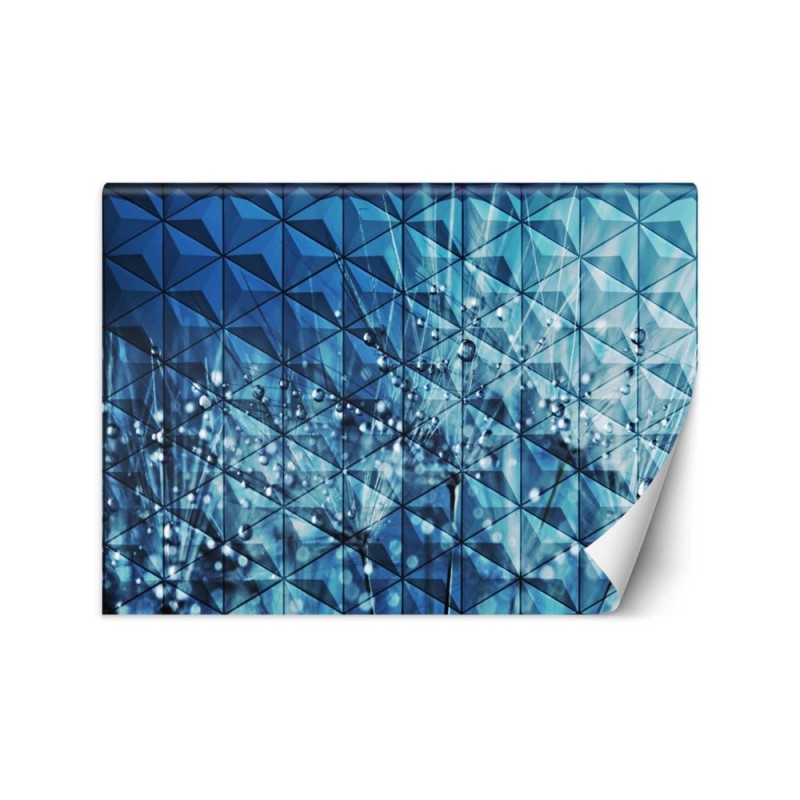 Original wall murals - Dewdrops on a dandelion | FEEBY