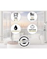 Original wall murals - Dewdrops on a dandelion | FEEBY