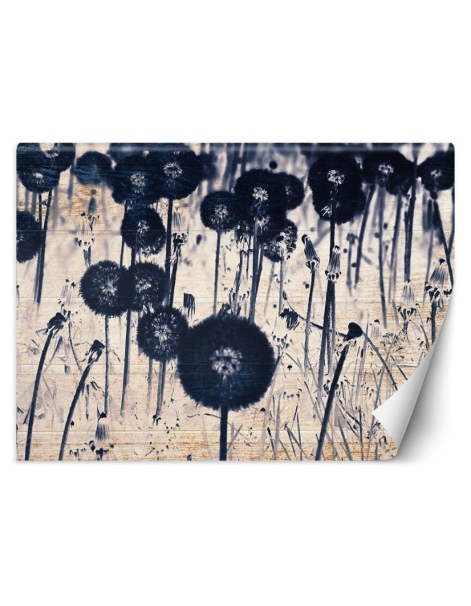 Modern wall murals - Texture dewdrops on a dandelion | FEEBY