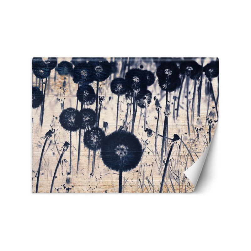 Modern wall murals - Texture dewdrops on a dandelion | FEEBY
