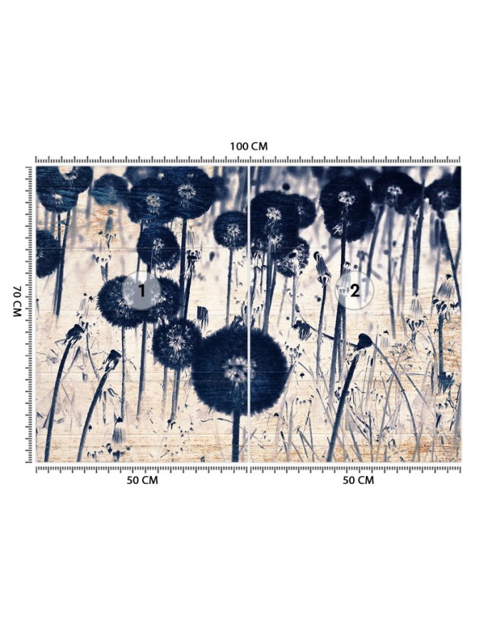 Modern wall murals - Texture dewdrops on a dandelion | FEEBY