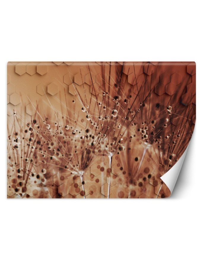 Depth effect wall murals - Blowpipes in dewdrops | FEEBY