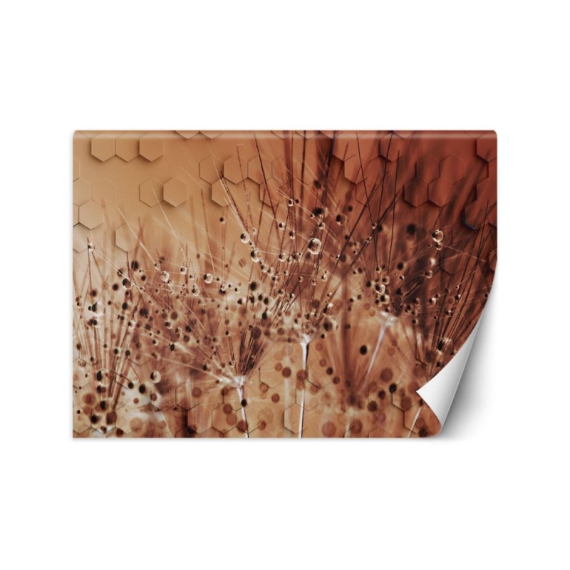Depth effect wall murals - Blowpipes in dewdrops | FEEBY