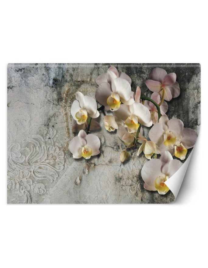 Inspirational wall mural - Orchid flowers against an old wall | FEEBY