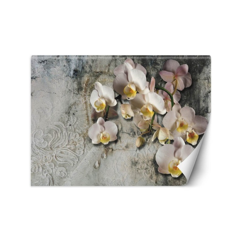 Inspirational wall mural - Orchid flowers against an old wall | FEEBY
