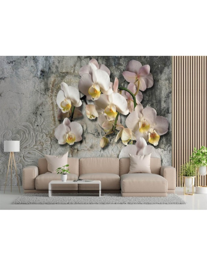 Inspirational wall mural - Orchid flowers against an old wall | FEEBY