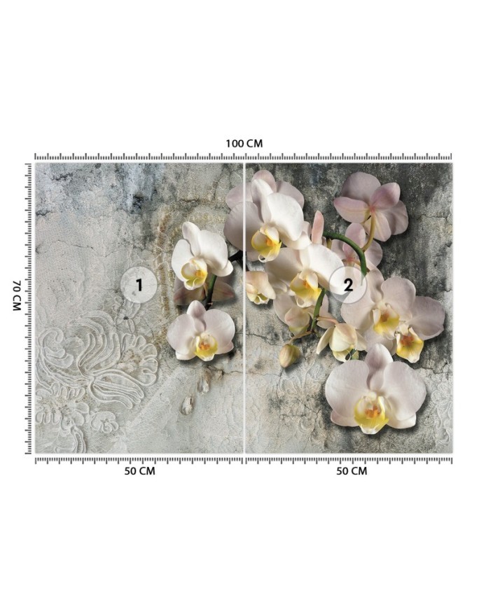 Inspirational wall mural - Orchid flowers against an old wall | FEEBY
