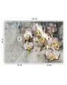 Inspirational wall mural - Orchid flowers against an old wall | FEEBY