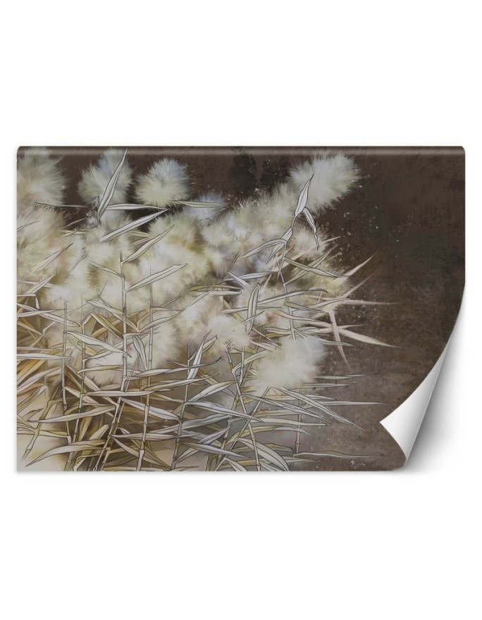 Unique Wallpapers - Boho pampas grass | FEEBY