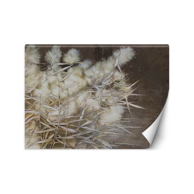 Unique Wallpapers - Boho pampas grass | FEEBY