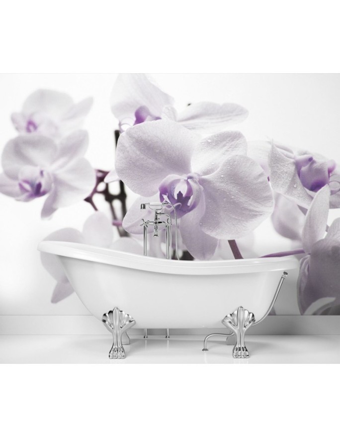 Wallpaper - Flowering orchid | FEEBY