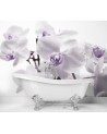 Wallpaper - Flowering orchid | FEEBY
