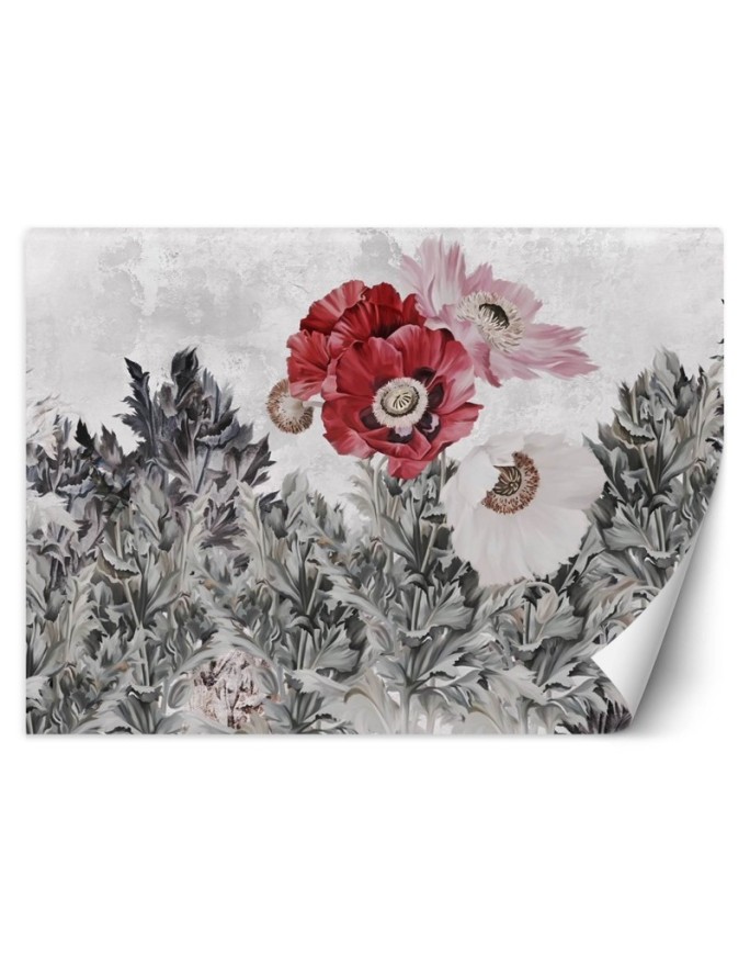 Wall mural Red poppies in...