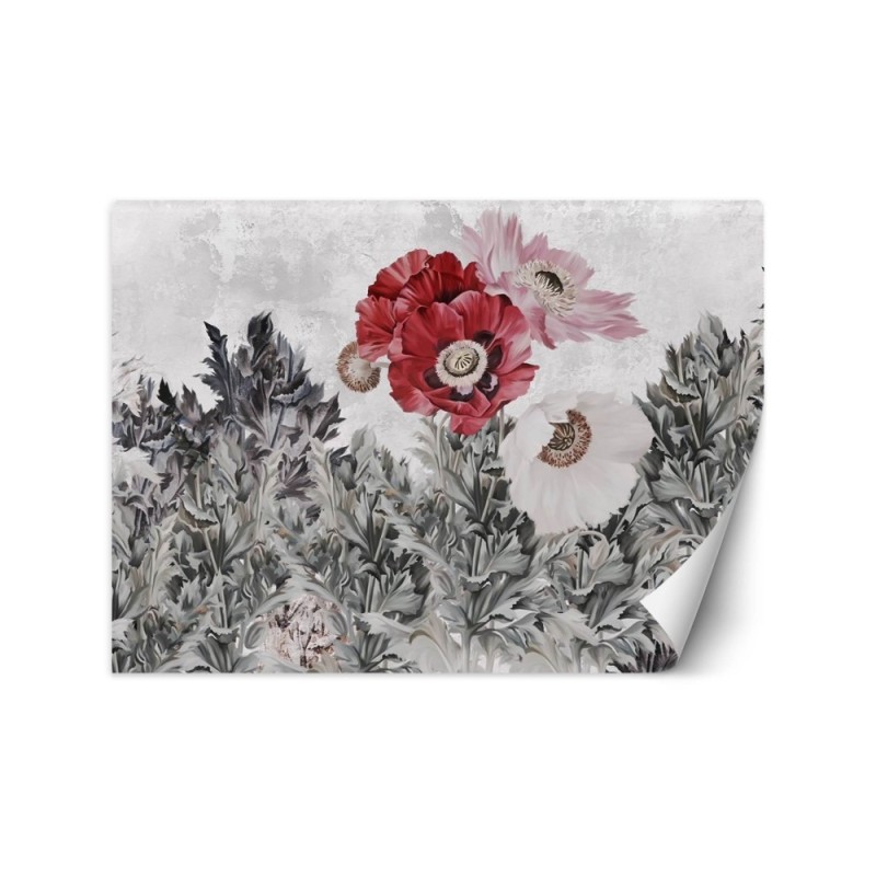 The most fashionable Wallpapers - Painted red poppies | FEEBY